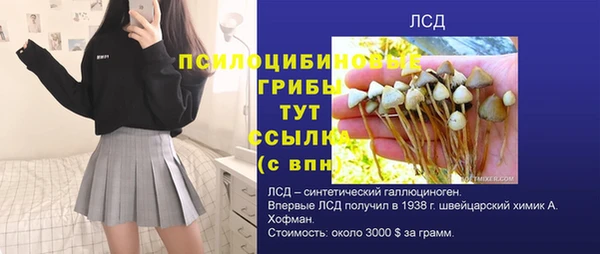 МДПВ Верхнеуральск