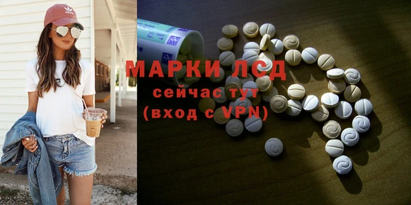 ECSTASY Бородино
