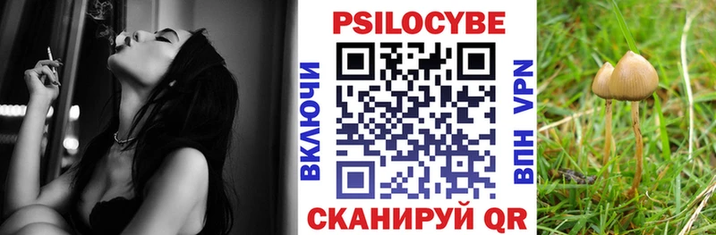 Псилоцибиновые грибы мухоморы  OMG ТОР  Зима 